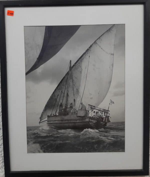 Racing Dhows -Photography Print